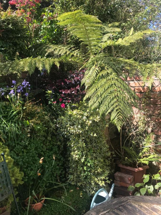 1920'S House. Private En Suite Sitting Room . Dog Friendly Teignmouth Luaran gambar