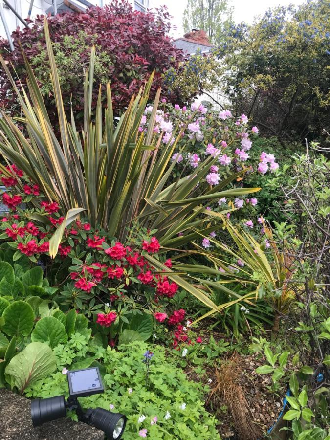1920'S House. Private En Suite Sitting Room . Dog Friendly Teignmouth Luaran gambar